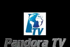 Il 16 gennaio Pandora Tv in diretta dalle piazze della manifestazione
